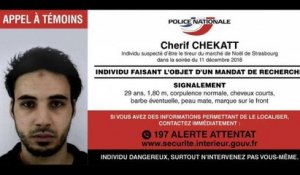 Un frère de Chérif Chekatt arrêté à Strasbourg après des messages "alarmants"