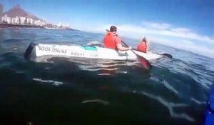 Une Baleine surgit à côté de canoes kayaks !