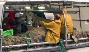 Brexit: des pêcheurs français redoutent une "guerre" commerciale
