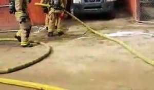 Un homme entre dans une maison en feu et risque sa vie pour sauver son chien