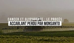 Cancer et glyphosate : le procès accablant perdu par Monsanto