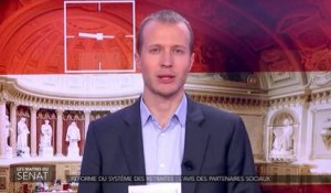 Réforme du système des retraites : l'avis des partenaires sociaux - Les matins du Sénat (22/03/2019)