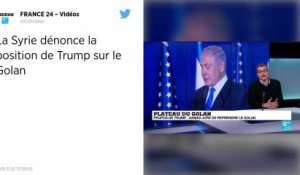 Israël. La France rappelle Donald Trump au droit international après ses propos sur le Golan