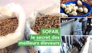 Burkina Faso : SOFAB, le secret des meilleurs éleveurs