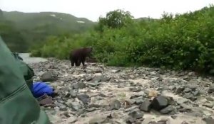 Un Grizzly énorme se met à courir vers ces touristes
