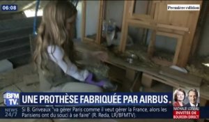 Lou, 9 ans, a reçu une prothèse de bras personnalisée et fabriquée bénévolement par Airbus