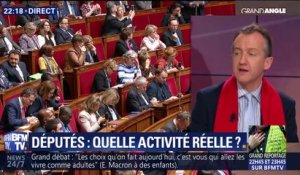 Député: quelle activité réelle ?