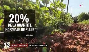 Sud de la France : 56 jours sans pluie