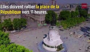 Mobilisation des auto-écoles à Paris contre la réforme du permis