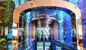 Un gigantesque aquarium se fissure au milieu d'un centre commercial
