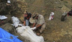 Des fossiles vieux de 66 millions d’années retrouvés aux États-Unis