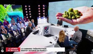 Le monde de Macron: Le cannabis thérapeutique bientôt autorisé en France ? – 08/04
