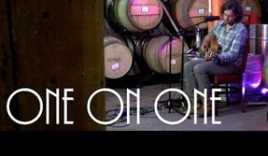 ONE ON ONE: David Berkeley - Under The Covers April 21st, 2017 City Winery New York Full Session