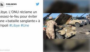 Libye. La France bloque un communiqué de l’UE condamnant le maréchal Haftar