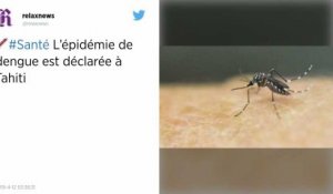 L’épidémie de dengue est déclarée à Tahiti, île faiblement immunisée contre cette maladie