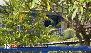 Tahiti : l'épidémie de dengue inquiète