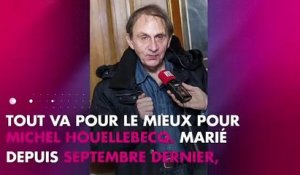 Michel Houellebecq décoré de la Légion d'honneur par Emmanuel Macron