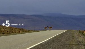 [BA] Échappées belles : Patagonie, le grand spectacle de la nature - 20/04/2019