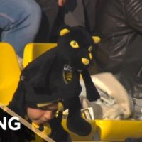 TOP 14 - Le Zapping de la J22- Saison 2018-2019