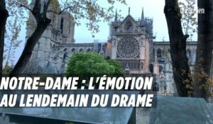 Incendie de Notre-Dame : l'émotion au lendemain du drame