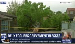 Deux écoliers grièvement blessés par la chute d'un arbre dans le Tarn-et-Garonne