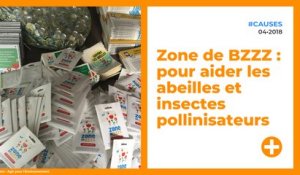 Zone de BZZZ : pour aider les abeilles et insectes pollinisateurs