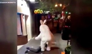 Déguisé en lapin de pâques il vient se mêler à une bagarre dans la rue