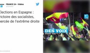 Législatives en Espagne. Les socialistes l'emportent, l’extrême droite entre au parlement