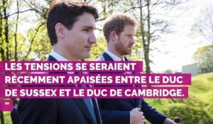 La réconciliation des princes Harry et William, Pierre Palmade se confie sur ses addictions : toute l'actu du 29 avril