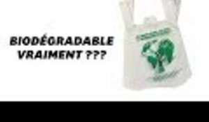 Les sacs plastiques biodégradables ne tiendraient pas leur promesse selon cette étude