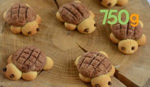 Recette de biscuits tortue - 750g