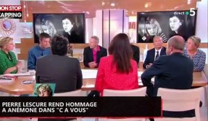 Pierre Lescure rend hommage à Anémone dans "C à vous" (vidéo)