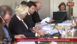 Invité : Franck Montaugé - Territoire Sénat (02/05/2019)