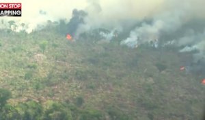 Amazonie : des images aériennes de la forêt en feu dévoilées (vidéo)