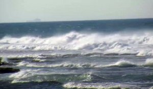 Le mistral souffle en bord de mer