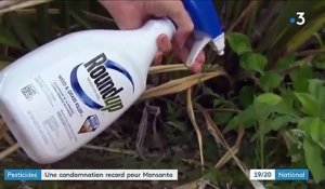 Monsanto : une condamnation record à cause du Round Up