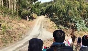 Crash de Thierry Neuville au rallye du Chili 2019