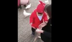 Cette fillette aime bien nourrir les oiseaux... Mais eux n'aiment pas trop
