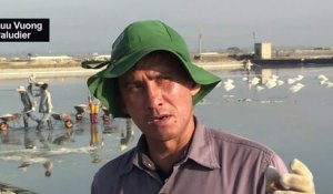 Les marais salants du Vietnam face au changement climatique