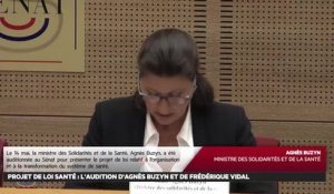 Projet de loi santé : l'audition d'agnès buzyn et de frédérique vidal - Les matins du Sénat (20/05/2019)