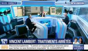 Vincent Lambert: traitements arrêtés (2/2)