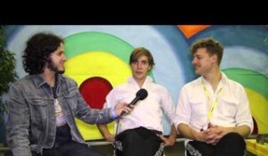 Interview: The Hives at the Big Day Out Sydney (2014)