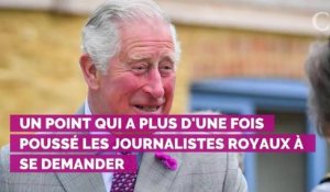 Le prince Charles n'est pas "si stupide" et sait que lorsqu'il sera roi il devra mettre de côté ses idées politiques