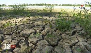 Ain : des étangs en alerte de sécheresse
