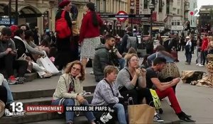 Royaume-Uni : le carton d'un single à base de chants d'oiseaux