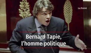 Bernard Tapie, l'homme politique