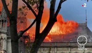 Incendie de Notre-Dame de Paris : le taux de plomb inquiète