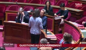 Sénat 360 (06/06/2019)