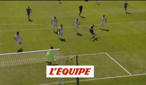 Le but de l'Islande face à l'Albanie - Foot - Qualif. Euro