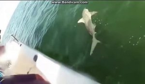 Un monstre surgit et emporte un requin sous les yeux des pecheurs